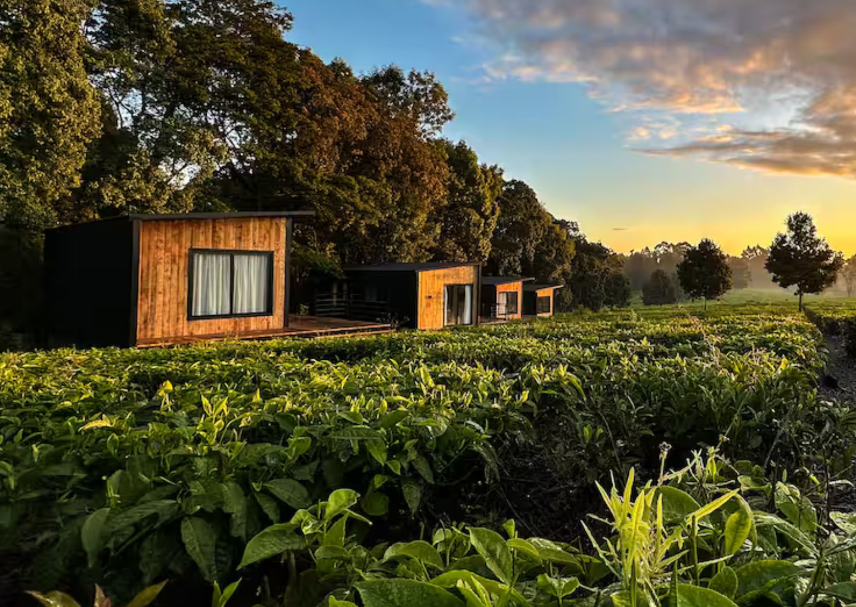 Pod accommodations in Kenya at sunset.