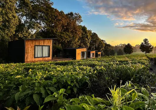 Pod accommodations in Kenya at sunset.