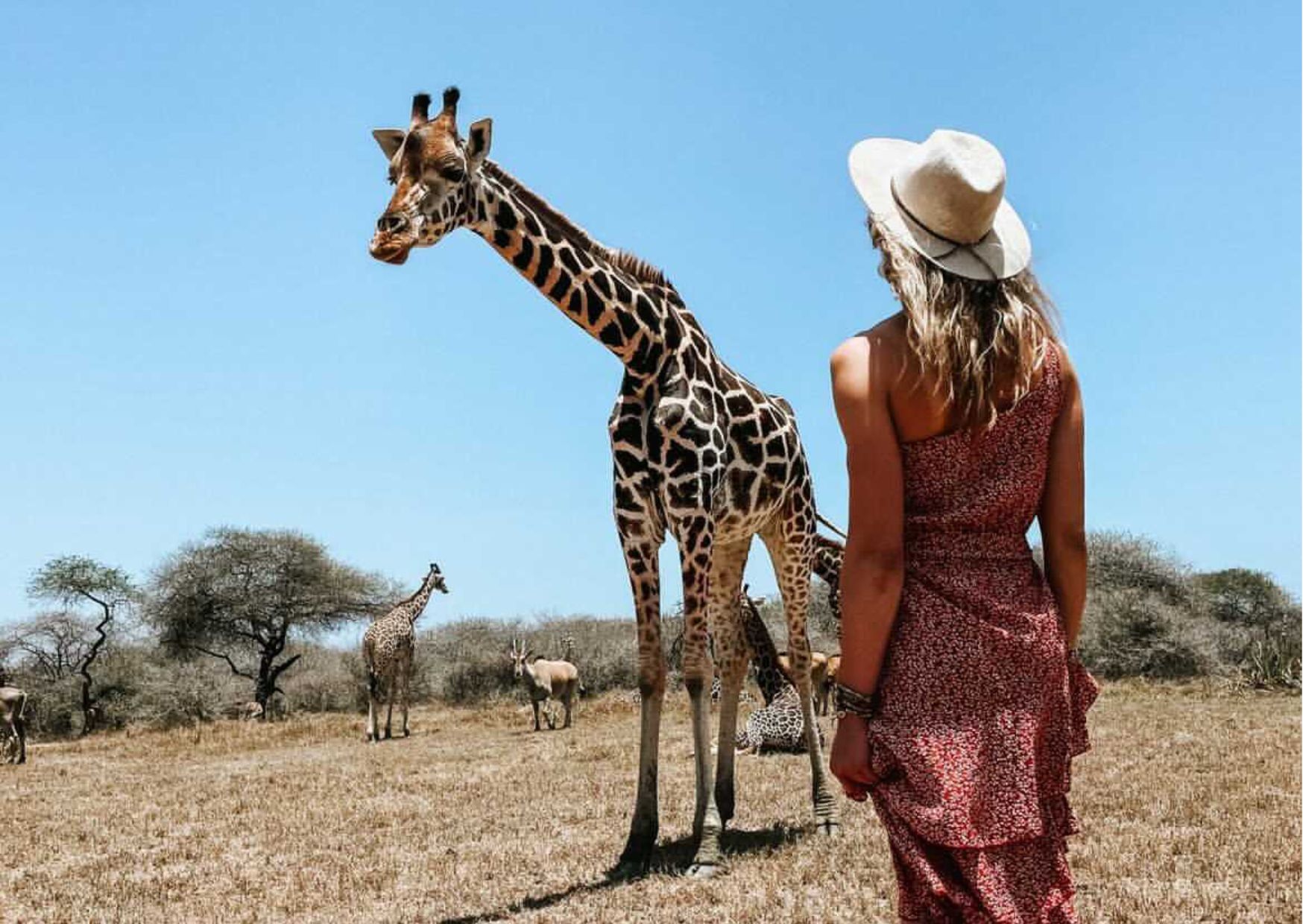 A woman stands with her back to the frame, looking at a giraffe up close in the wild in Kenya, with more giraffes in the distance.