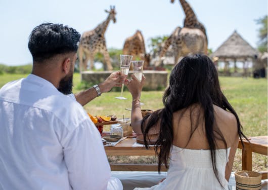A couple cheers with glasses of champagne while watching giraffes in the distance in Kenya.