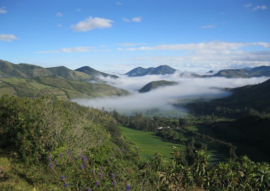Misty clouds hover over a forest; there are green trees in the foreground and blue peaks in the background.