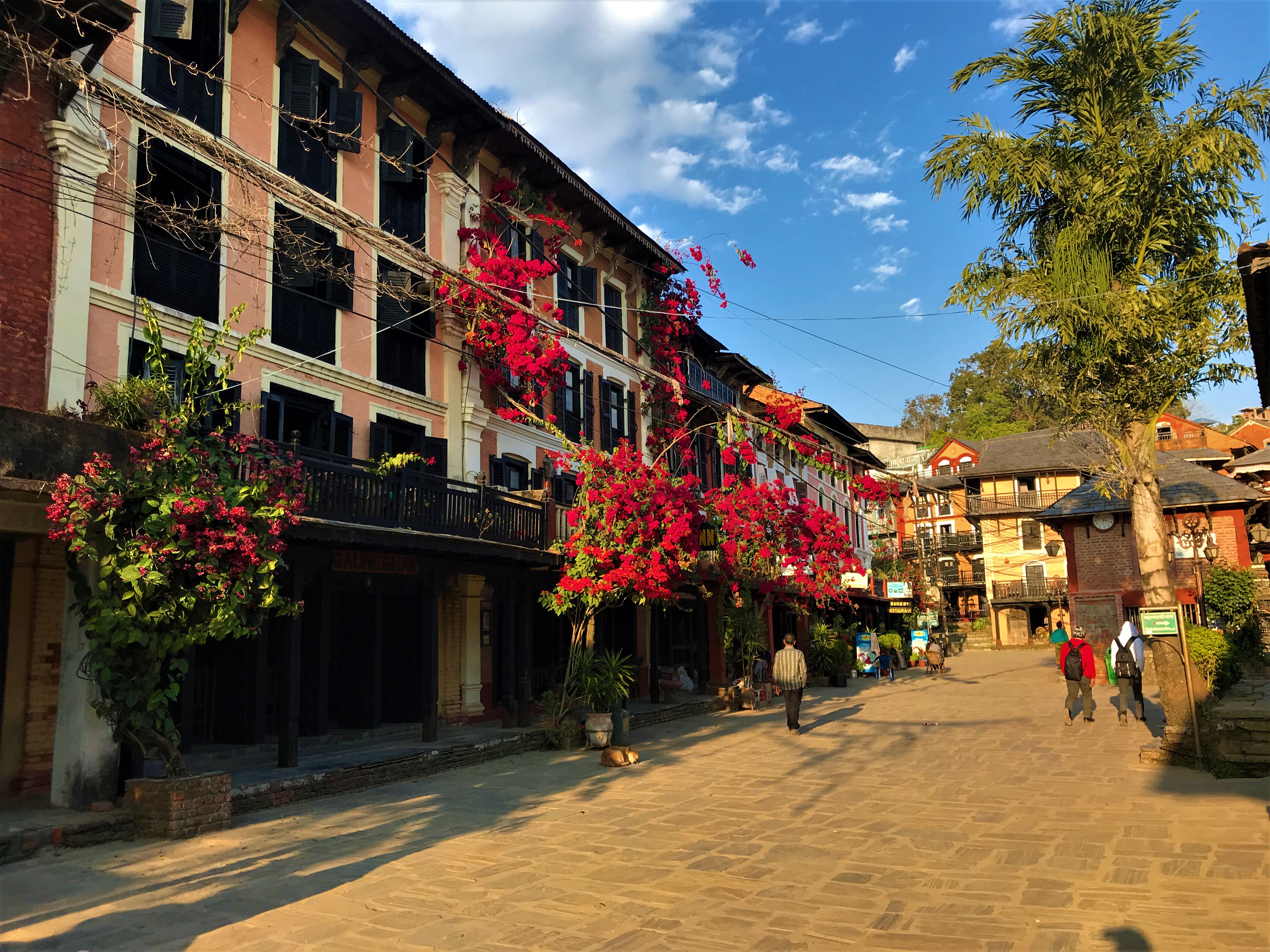 The town of Bandipur at golden hour, with bright red flowers hanging from the buildings.