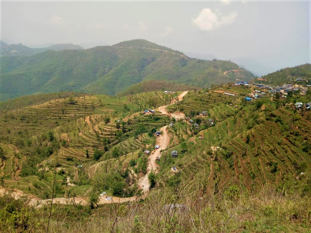 A path goes through the terraced fields of Ramkot village in India.