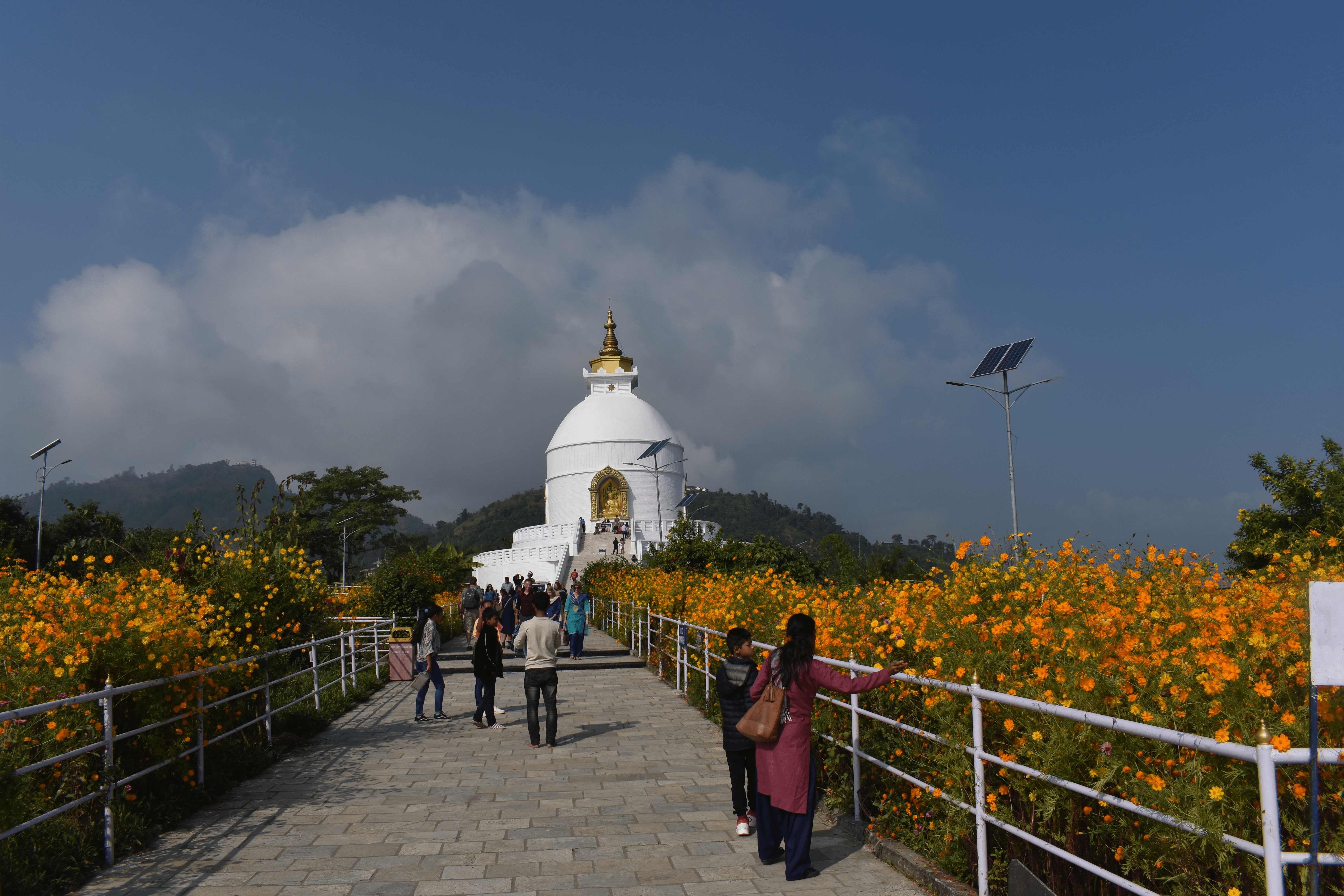 The Peace Pagoda in Pokhara is shown with its white stupa at the end of a paved path lined with yellow flowers.