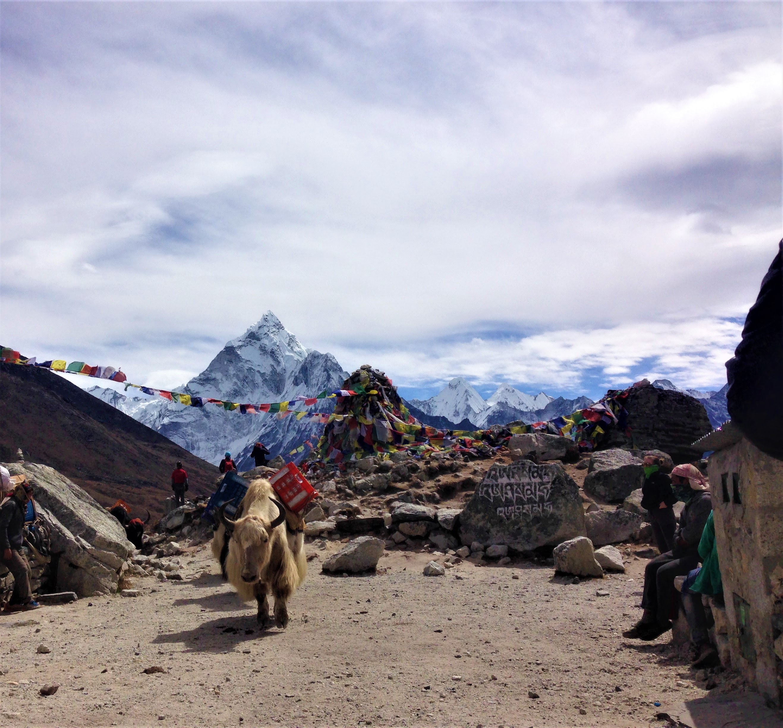 Memorial Park along the Everest Base Camp, with an animal carrying supplies.