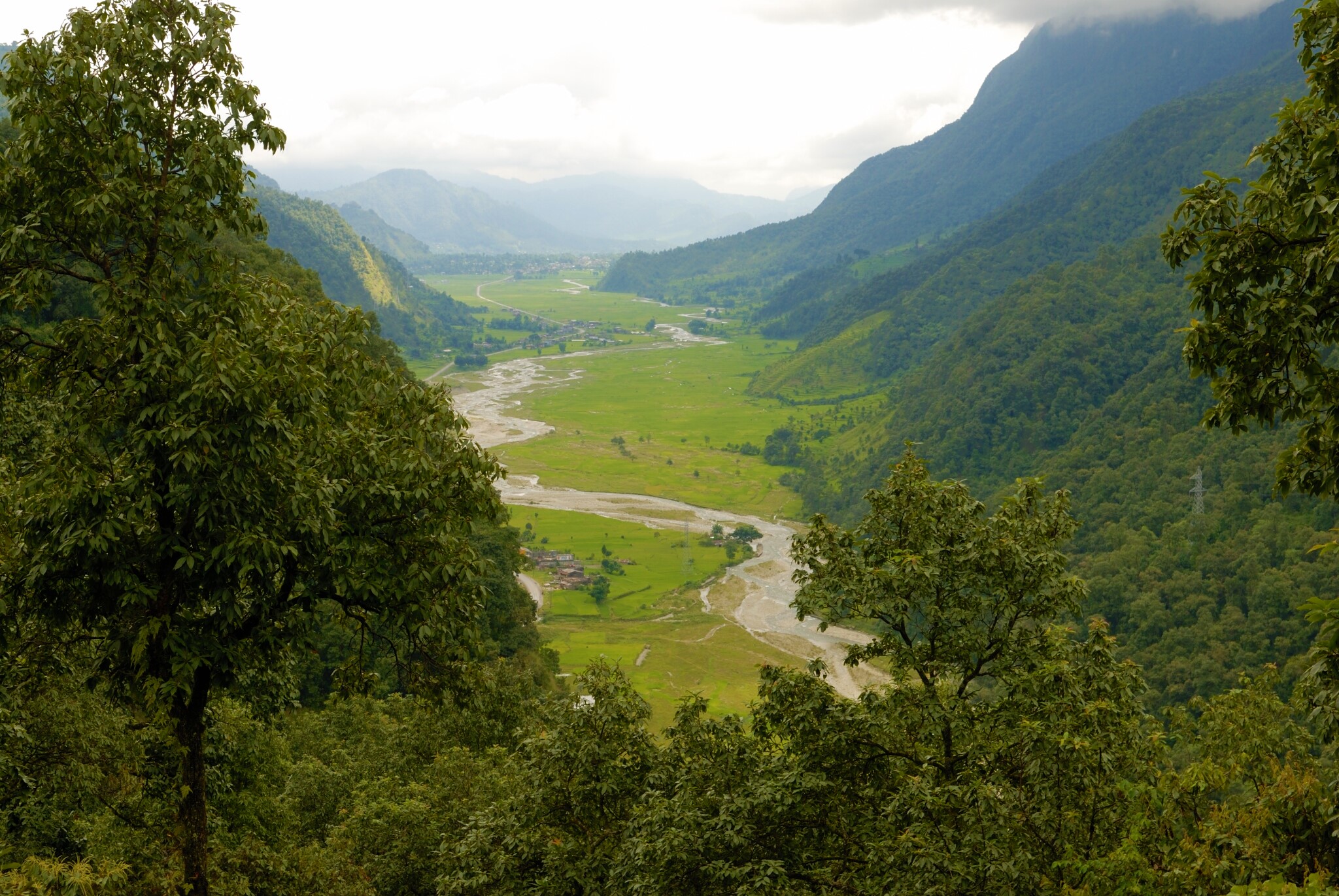 The winding path is shown between trees, leading from Phedi to Dhampus.