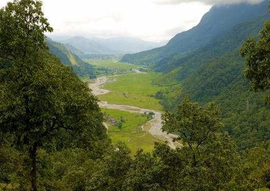 The winding path is shown between trees, leading from Phedi to Dhampus.