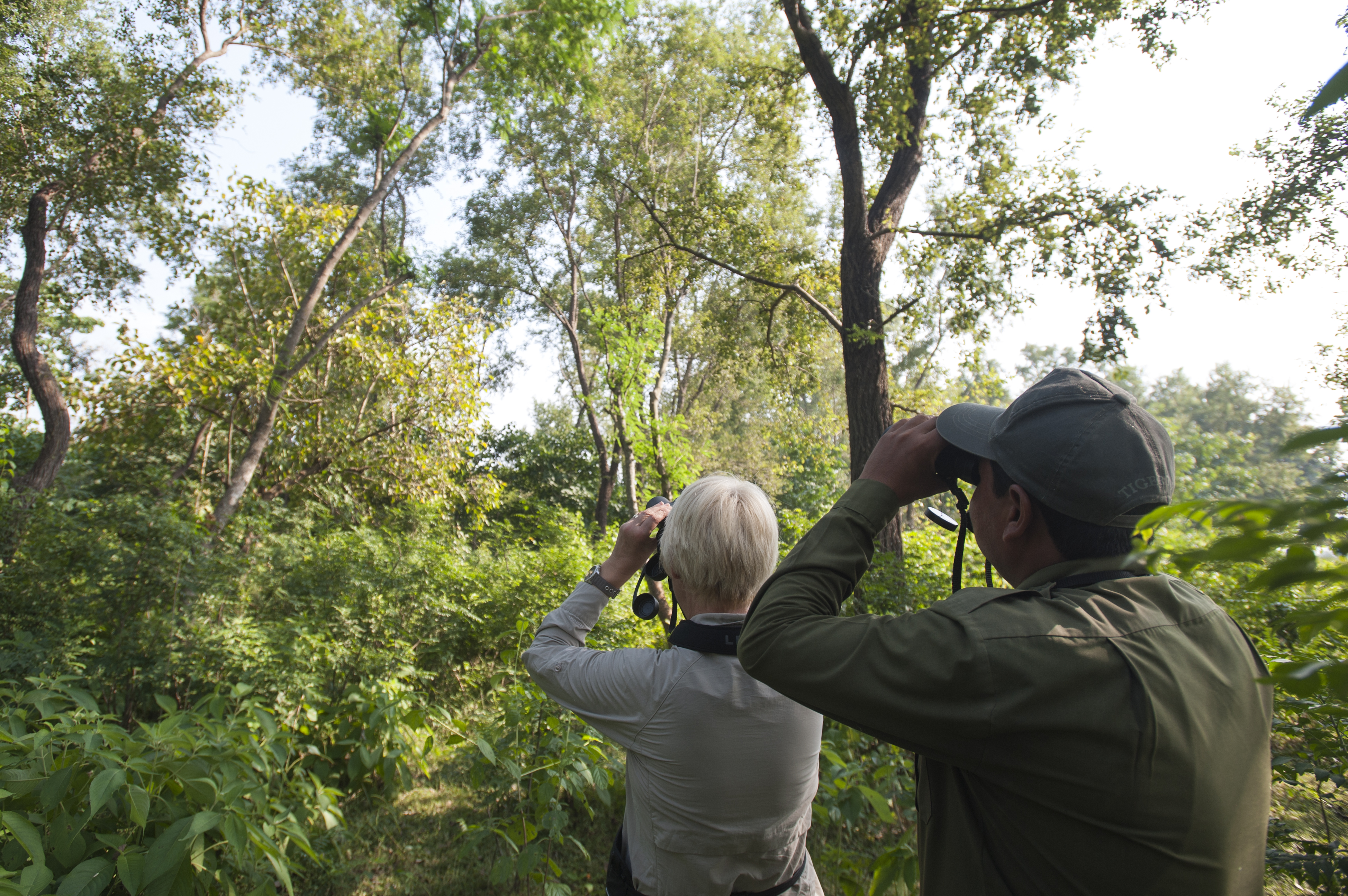Two travelers peer through binoculars, looking upward at the trees to spot birds in Nepal.
