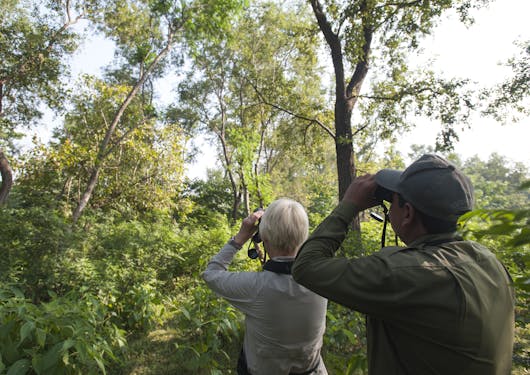 Two travelers peer through binoculars, looking upward at the trees to spot birds in Nepal.