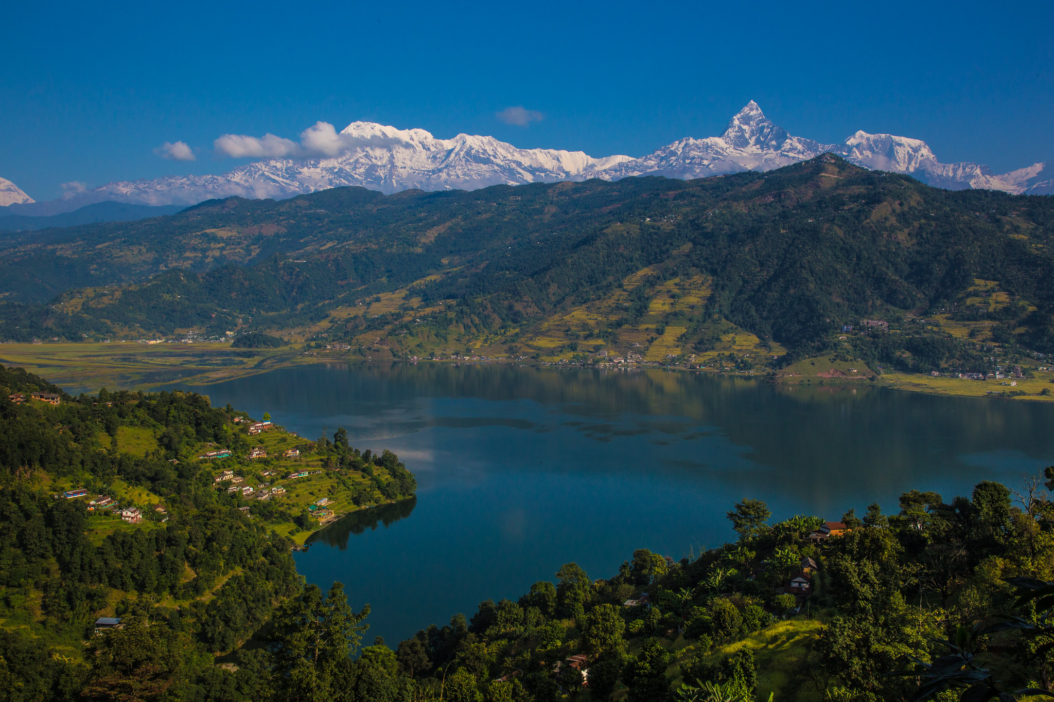 The large Phewa Lake in Pokhara is shown in Nepal, surrounded by forest in all directions and with mountains in the background.