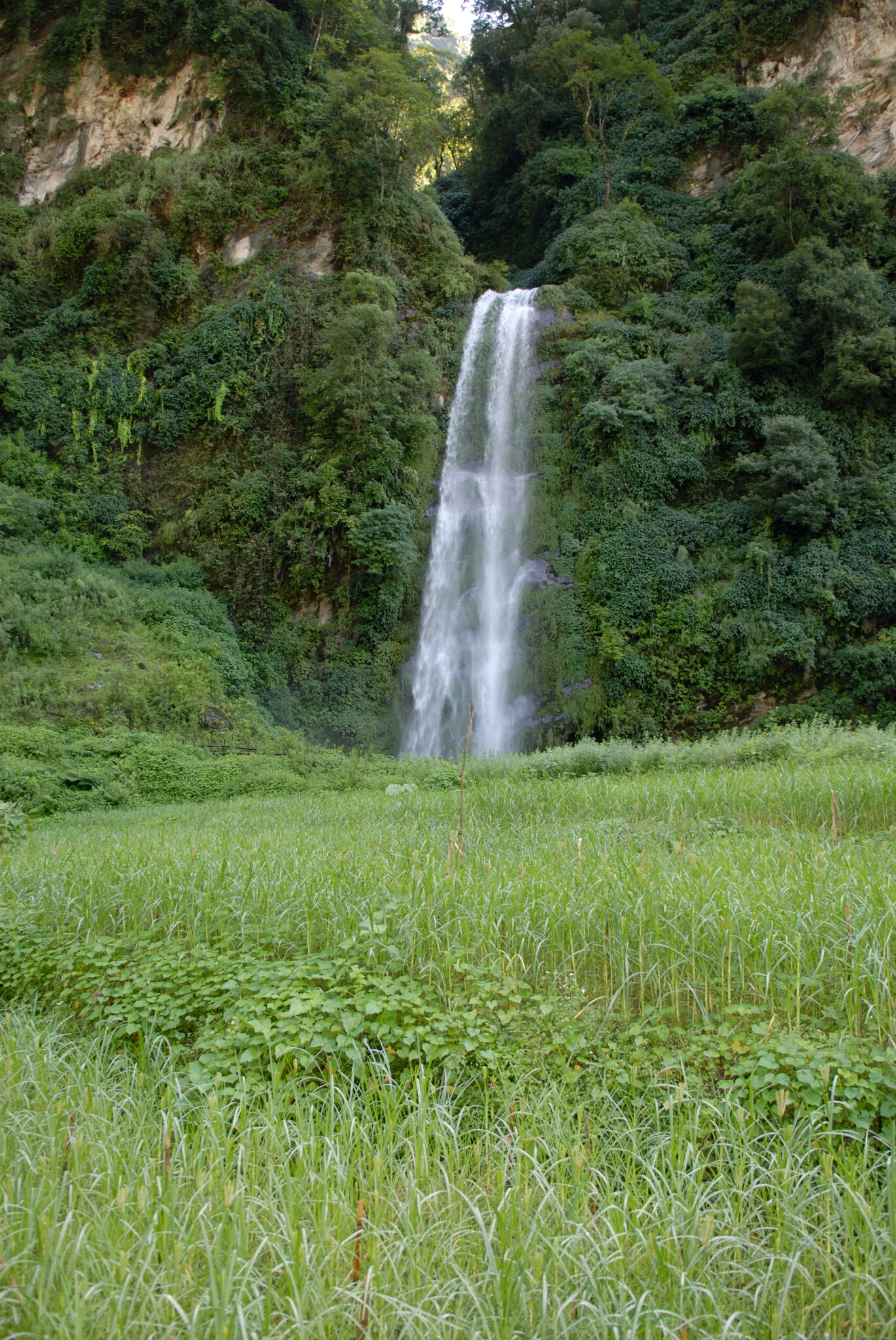 A waterfall is shown on the way to Landruk along the Annapurna Panorama Trek.