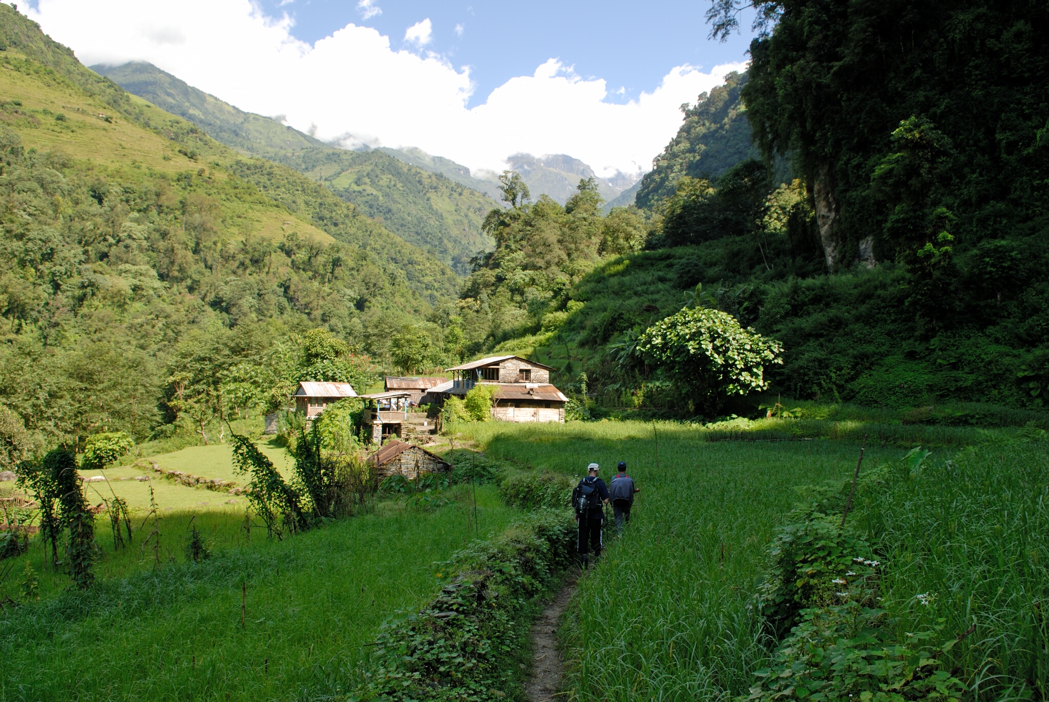 Some small houses nestled in the forest are shown on the way to Landruk in Nepal.
