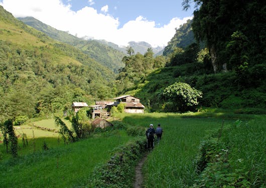 Some small houses nestled in the forest are shown on the way to Landruk in Nepal.