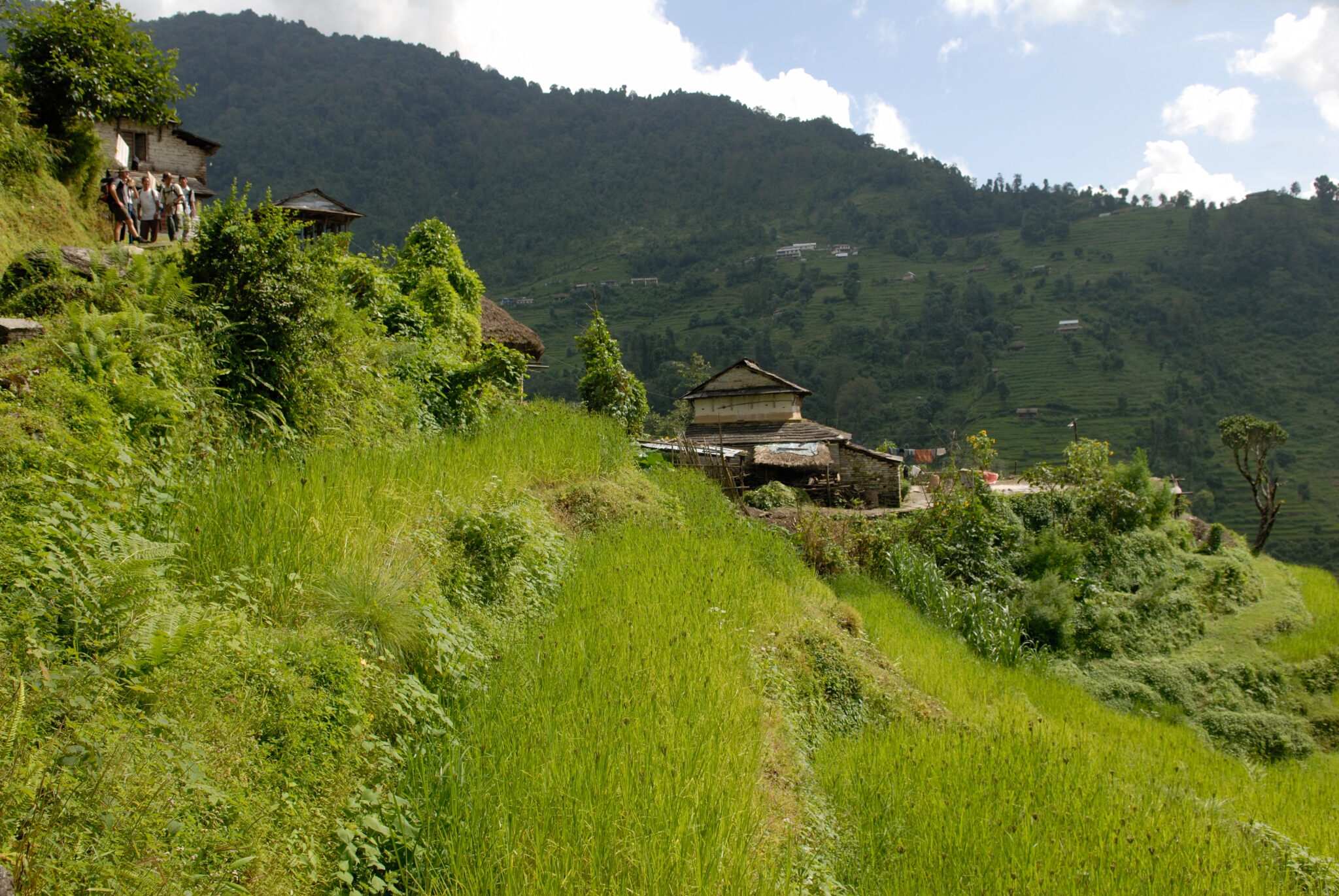 The view on the way to Majgaun in Nepal.