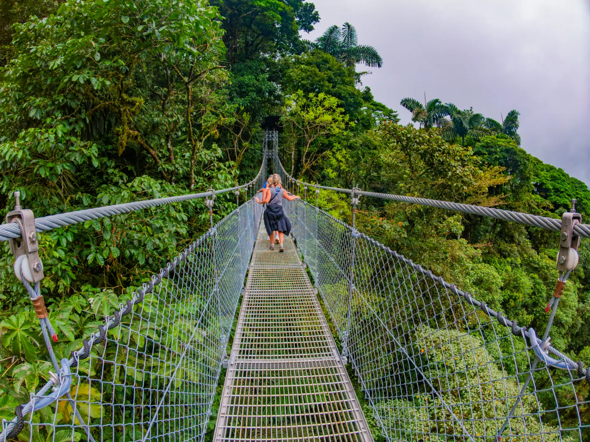 Travelers cross a hanging bridge in the Arenal tropical rainforest.