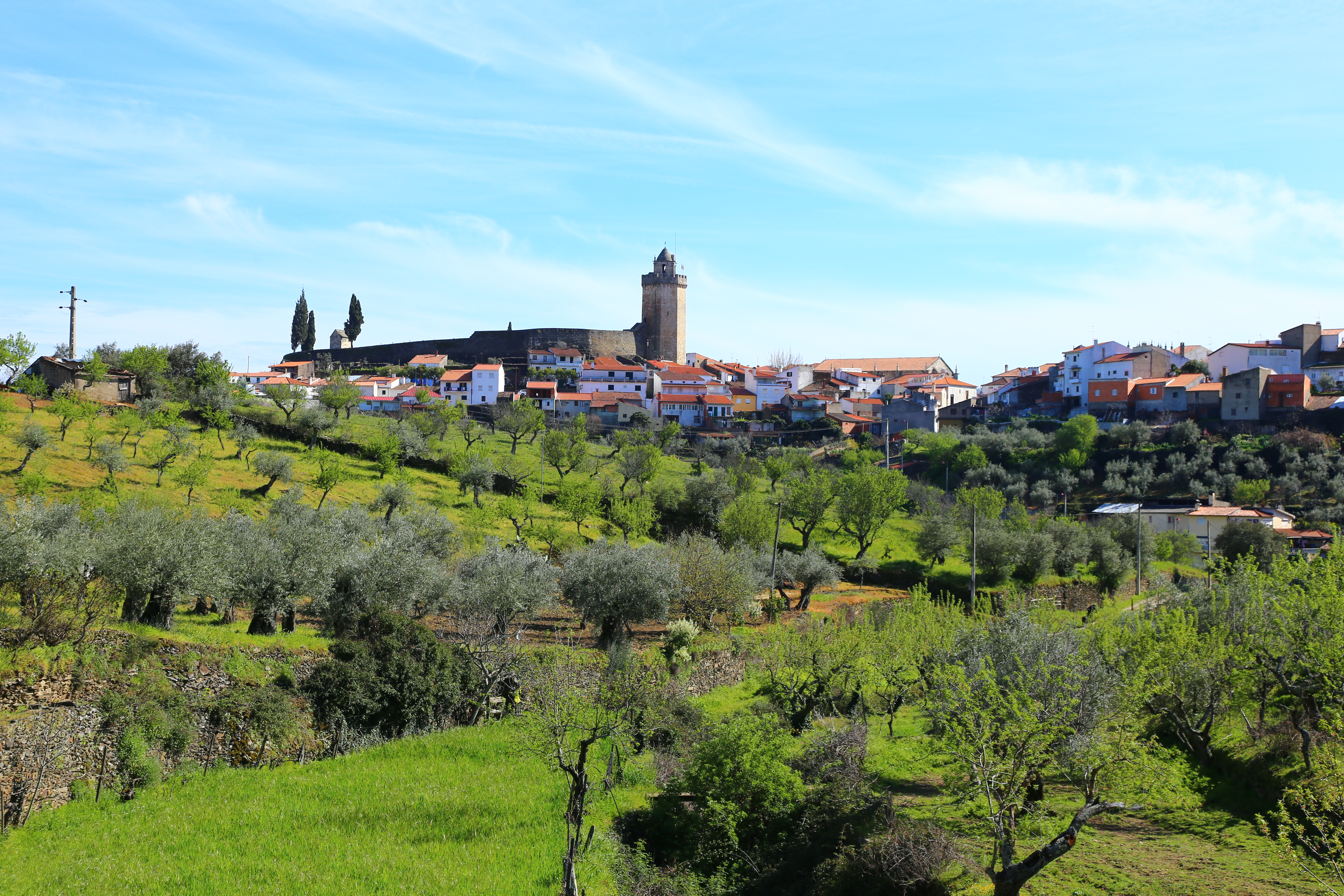 A village is in the distance past green trees in Portugal.