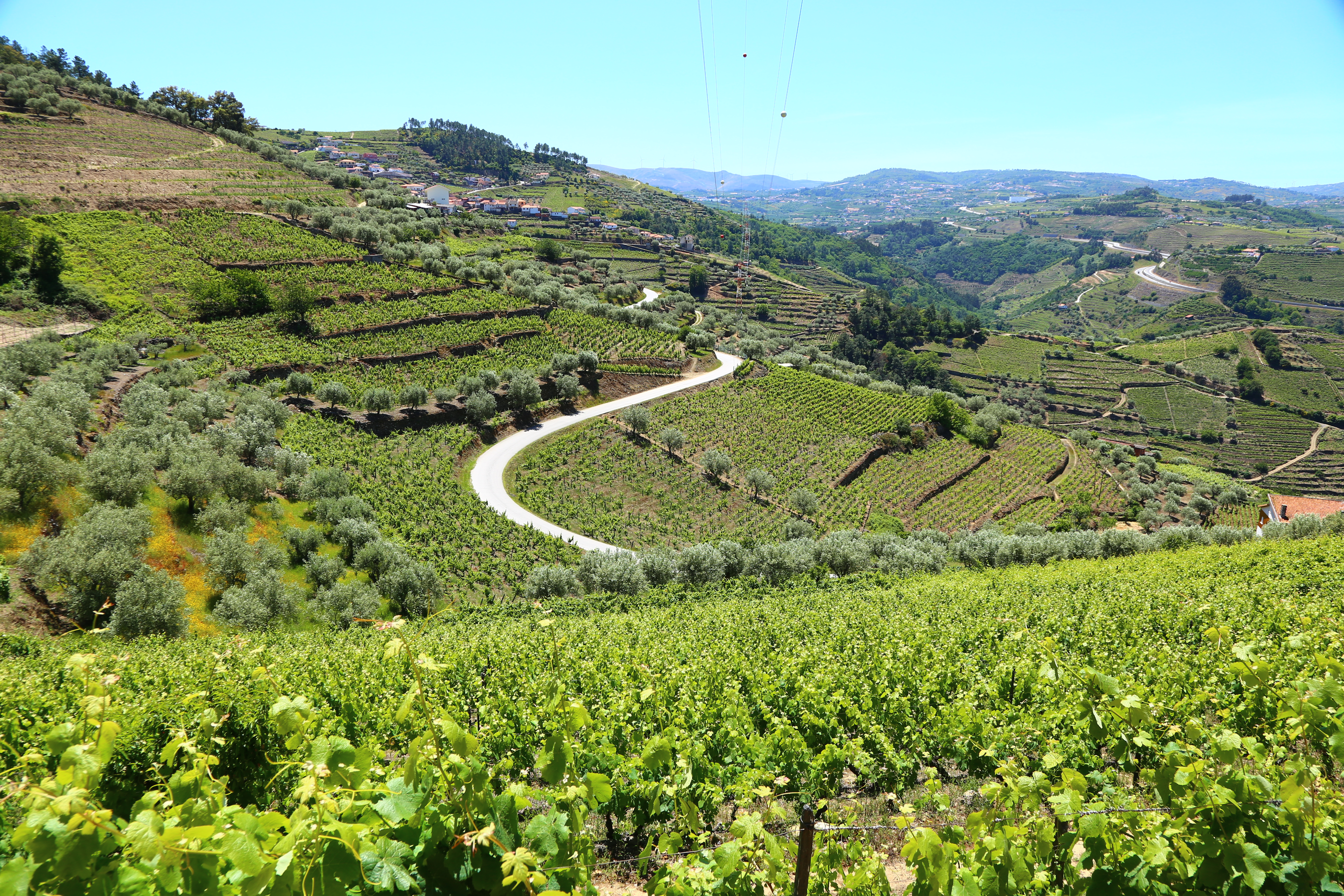 The Douro wine region is shown with green vineyards patterning its hills.