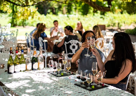 A group of travelers sits around a table in South Africa doing a wine tasting.