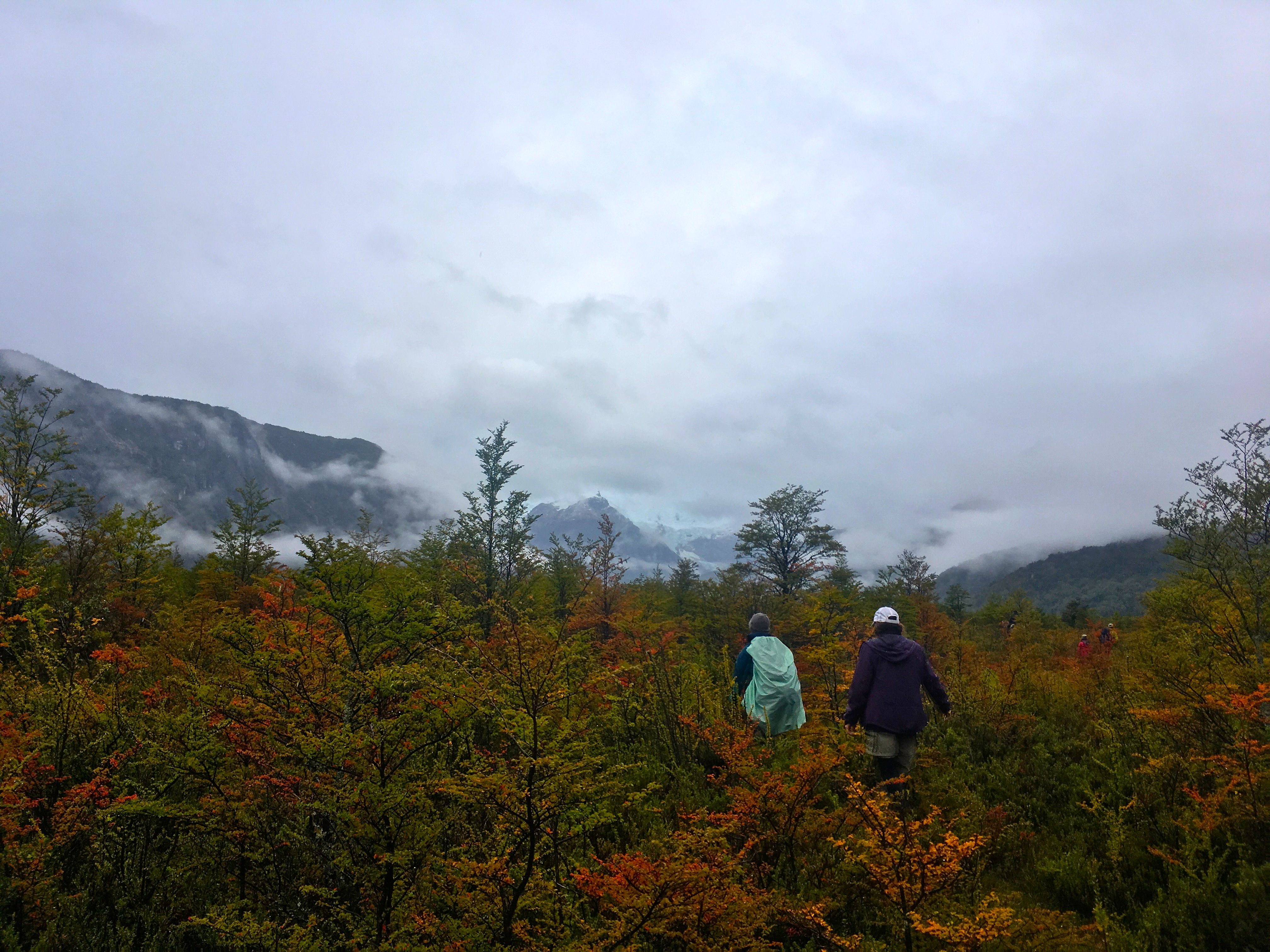 Two trekkers navigate through fall foliage on a misty day.