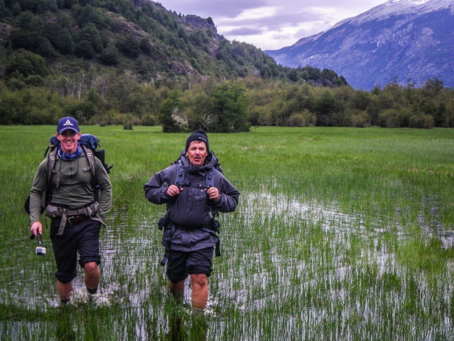 Two trekkers wade knee-high through water in a tall grassy marsh.