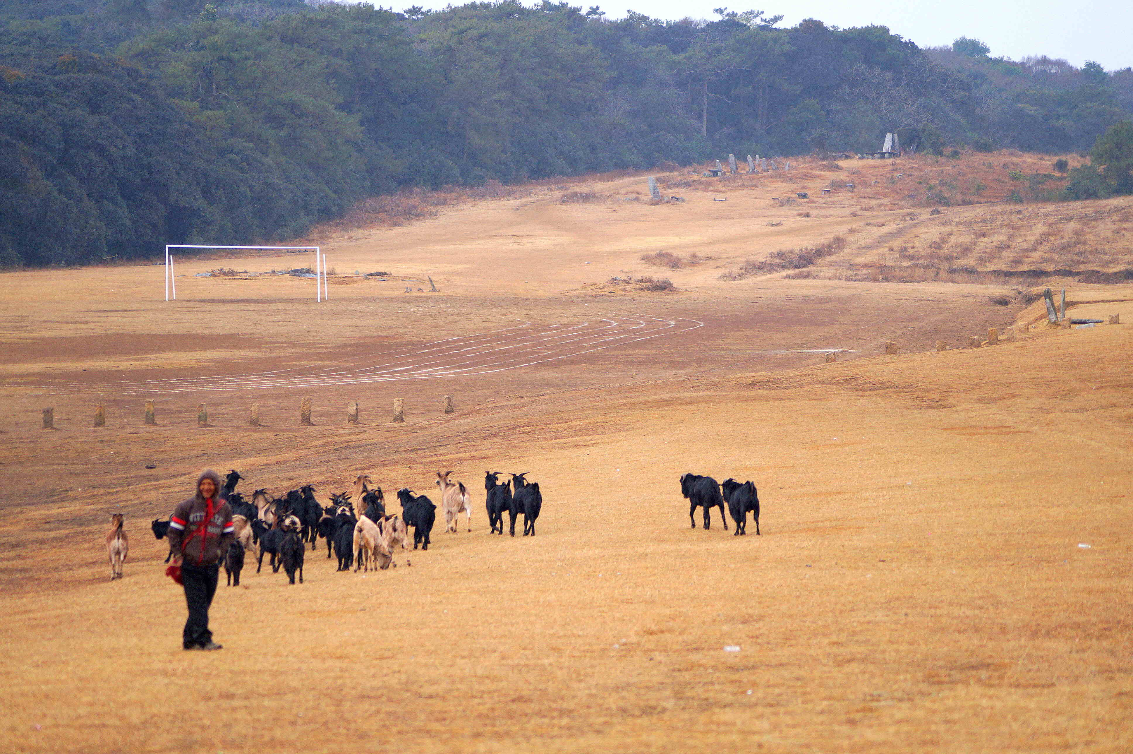 An Indian farmer stands on a dirt field with livestock behind him.