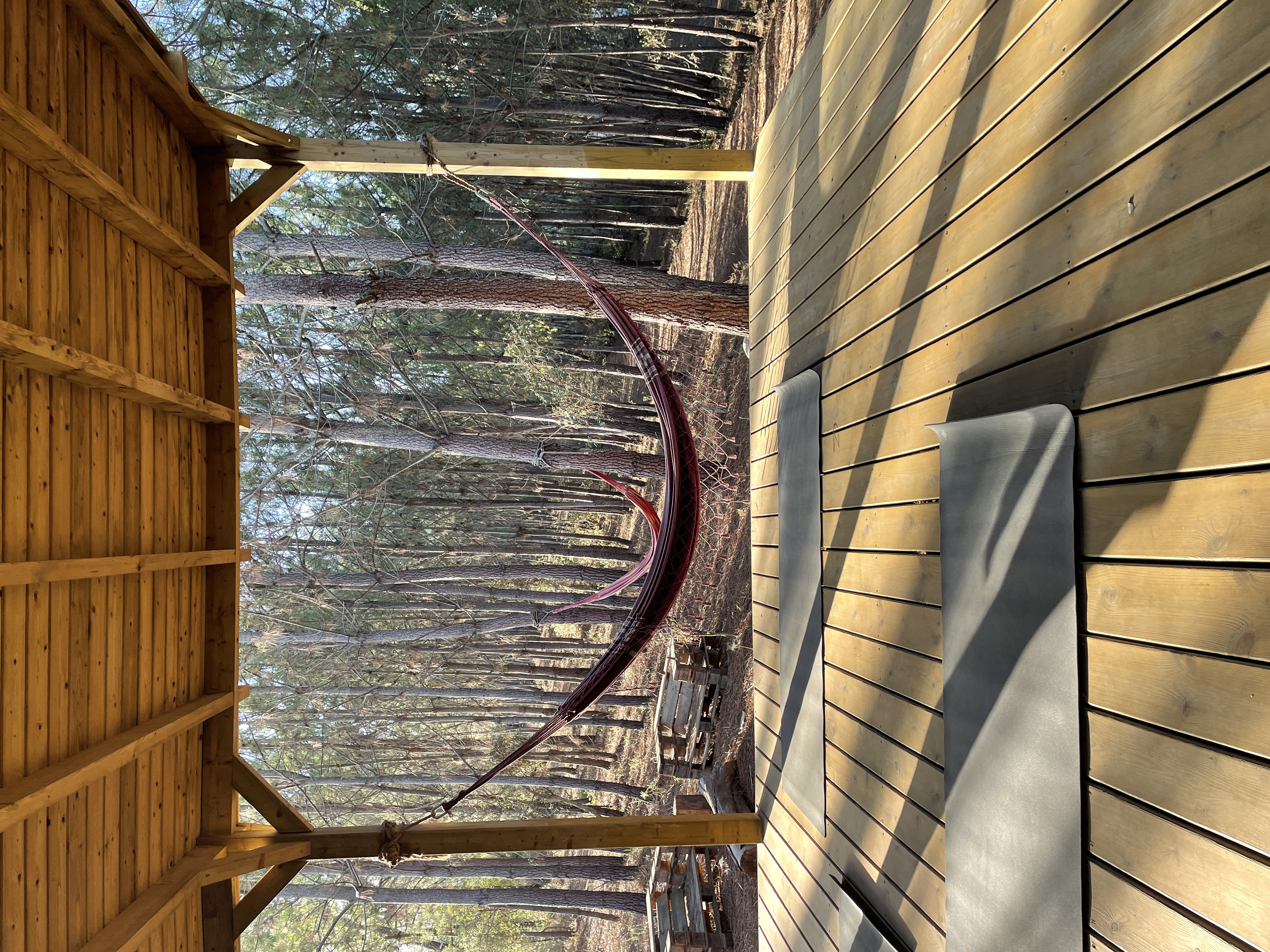 An open air yoga shala in the woods in Portugal sits empty in afternoon sunlight streaking through tres, with black yoga mats rolled out waiting for students. Two red hammocks are hanging in the distance.