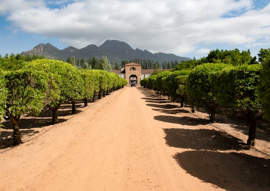 At the Stellenbosch Farm in the Cape Winelands of South Africa, green bushy and well-manicured trees line a brown, dirt road path to a stone entrance in the distance. It's a cloudy day with pockets of blue.