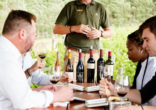 A group of 4 adult Caucasian men and 1 adult Black woman are seated and participating in a wine-tasting as their adult male Caucasian guide stands and explains the wine to them. There are 6 open bottles on the table and each person has a glass of red wine in front of them. Nobody is looking at the camera and the guide's head is not in frame.