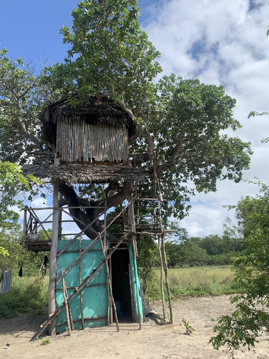 A treehouse stands on stilts in the Mida Creek village community of Kenya.