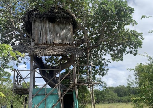A treehouse stands on stilts in the Mida Creek village community of Kenya.