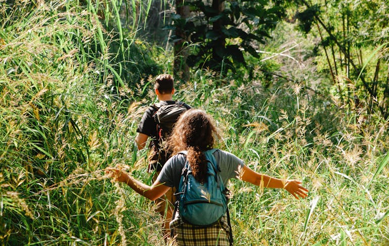 A young man and woman wearing day backpacks walk through a sunny field of tall grass with their backs to the camera. 