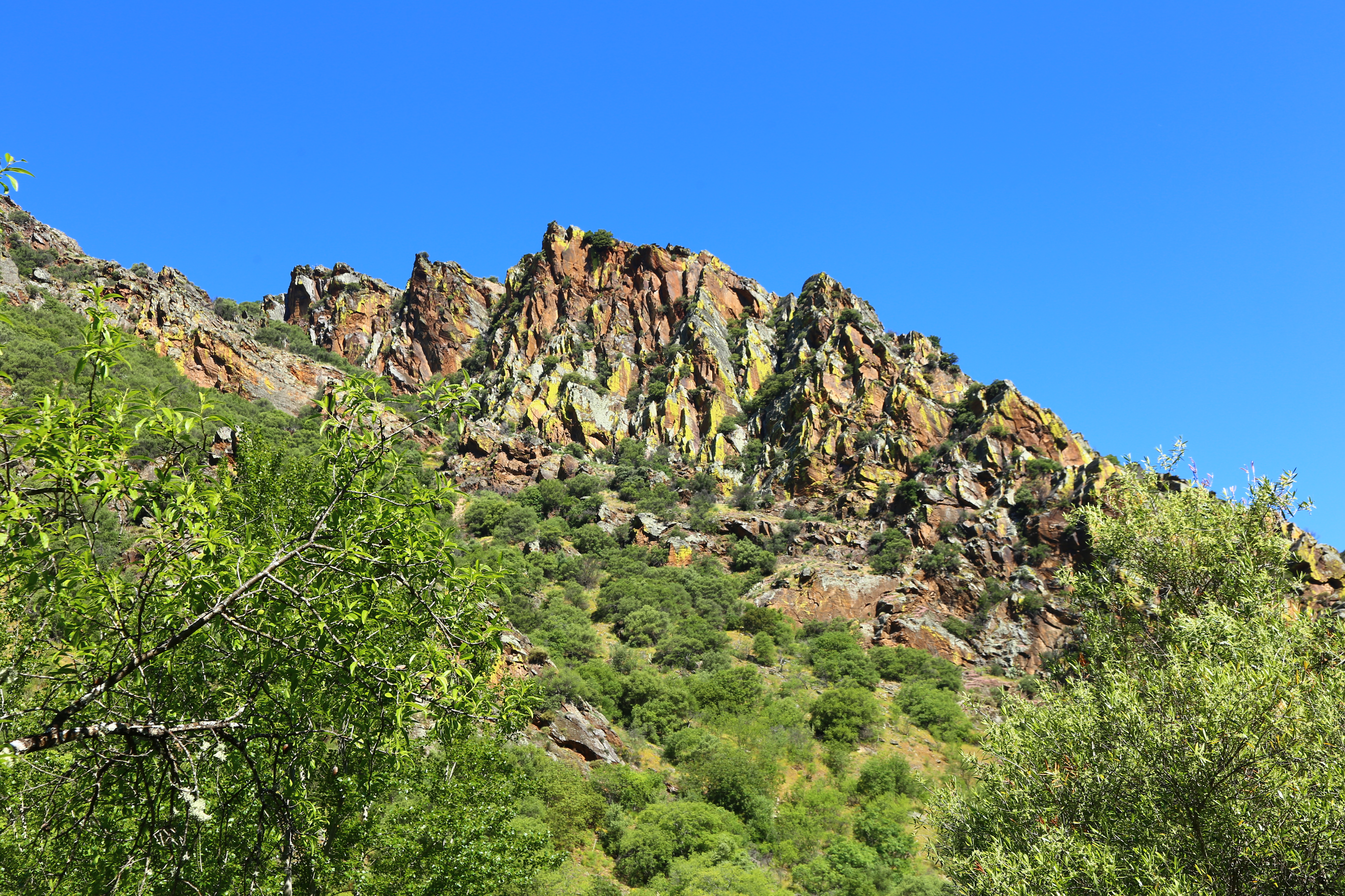 Dramatic rock formations in the Coa Archaeological Park in Portugal. The rocks are brightly multicolored, with lush greenery in the foreground and a bright sunny blue sky in the background.