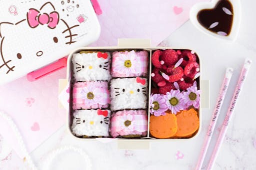 Cute And Healthy Japanese Character Bento Yumetwins The Monthly Kawaii Subscription Box Straight From Tokyo To Your Door
