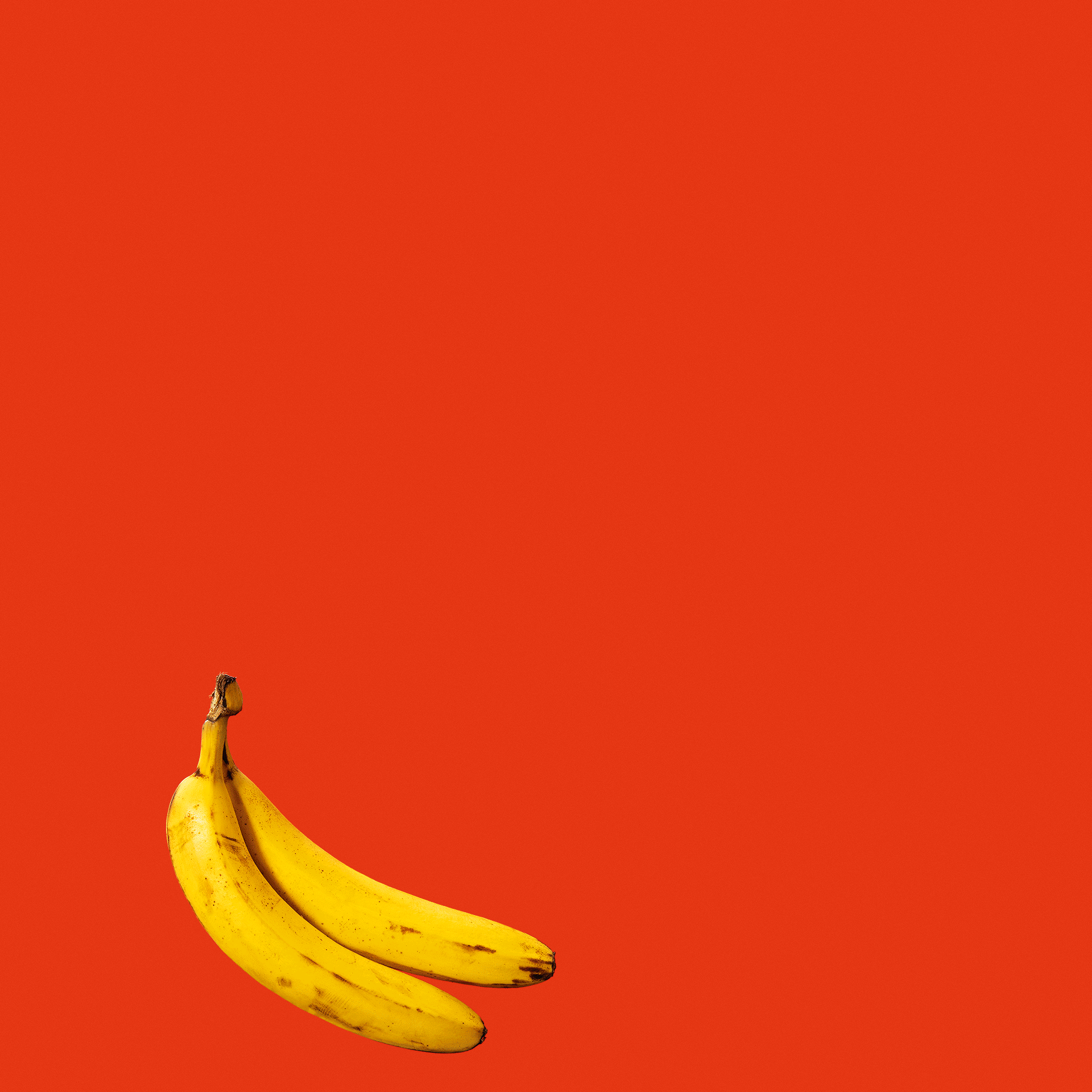 Animation showing a banana going through its ripening stages from yellow to dark brown-black ending with being a hand weapon.