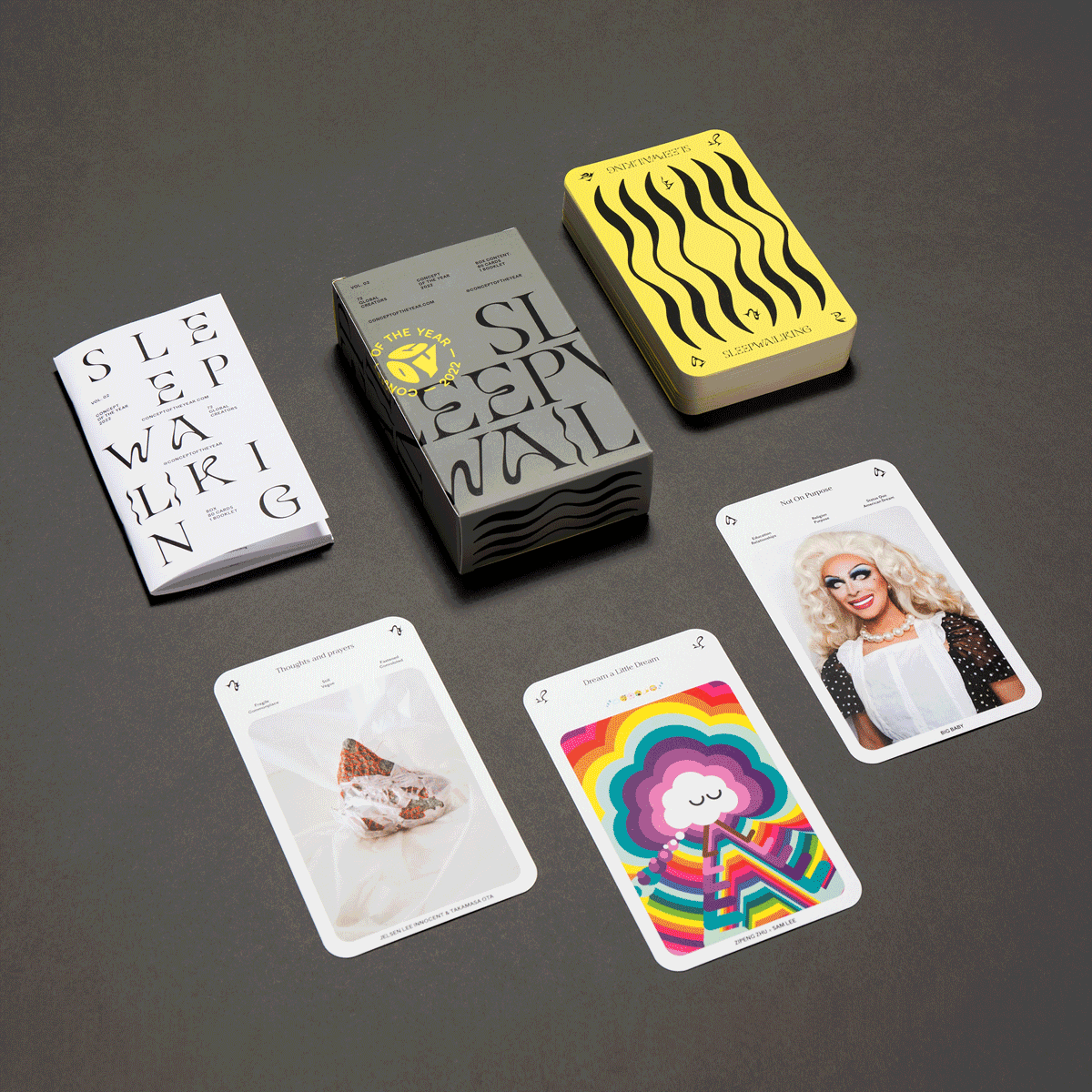 Animation showing the deck of cards, their box, and the booklet. Next to them are three cards face up that keep changing showing different participant's projects.