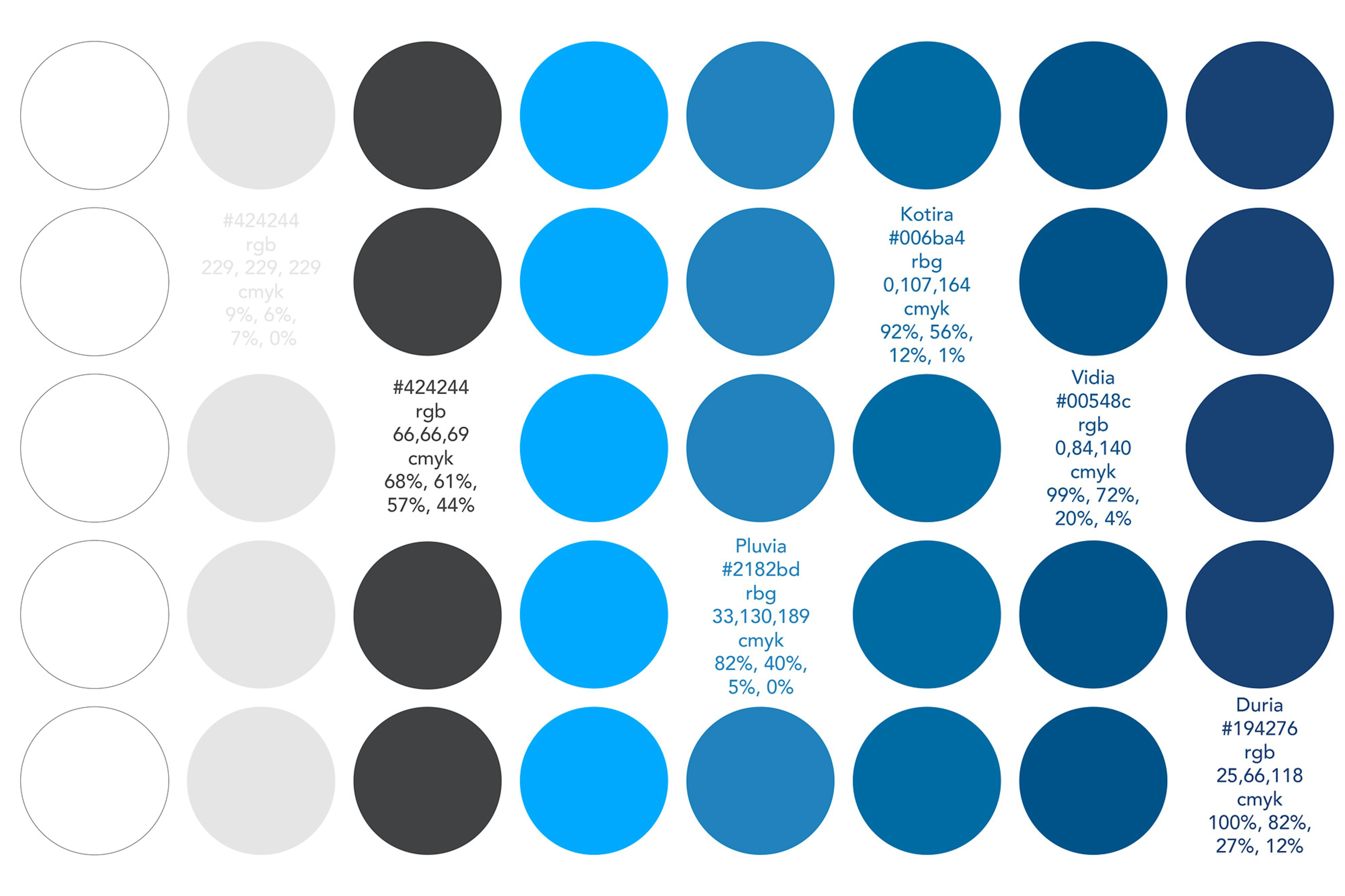 Image showing the brands color palette in repeated circles.