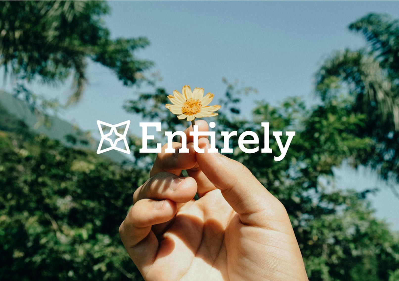 Entirely-Case-Study Thumbnails