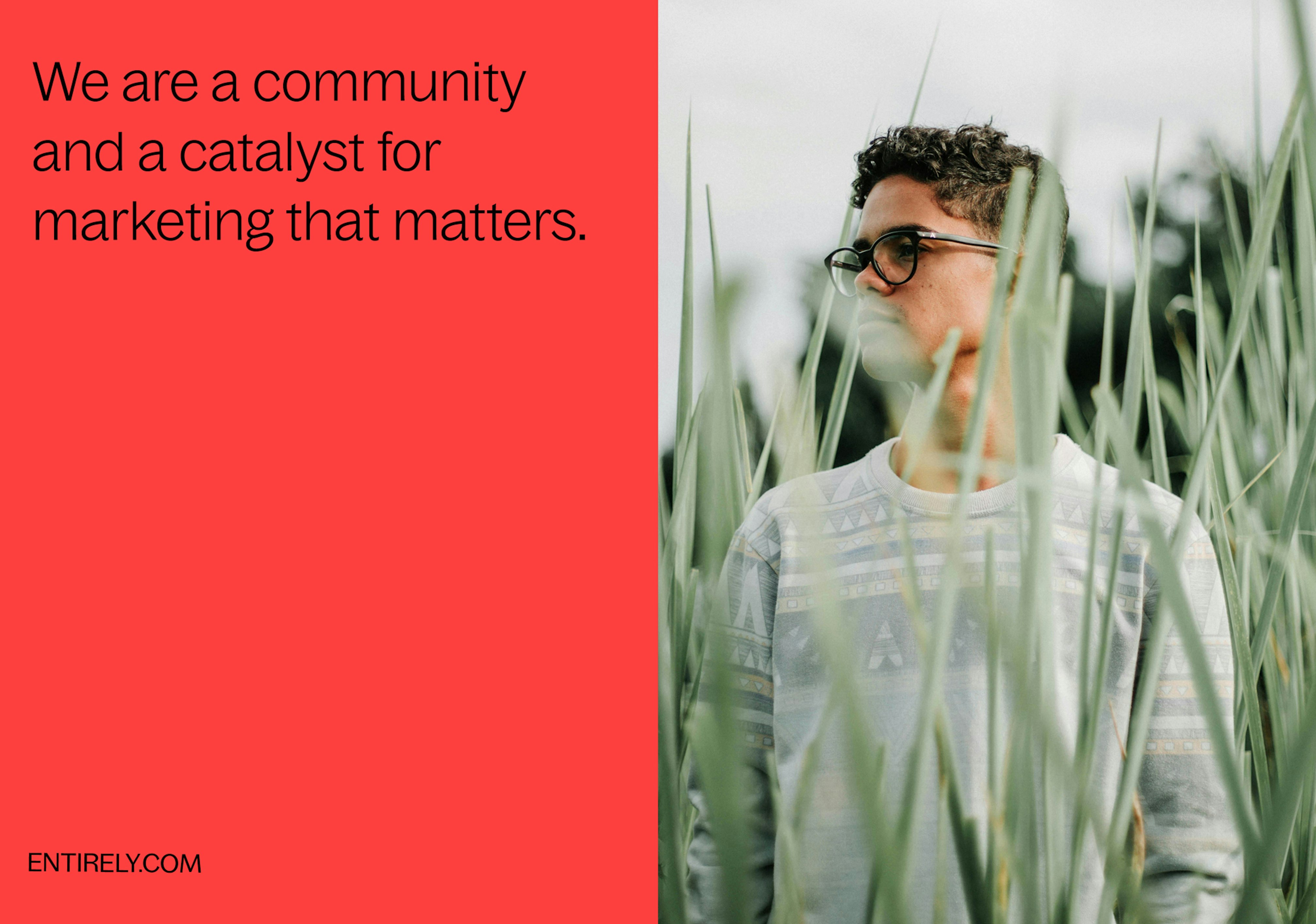 Entirely-Case-Study8