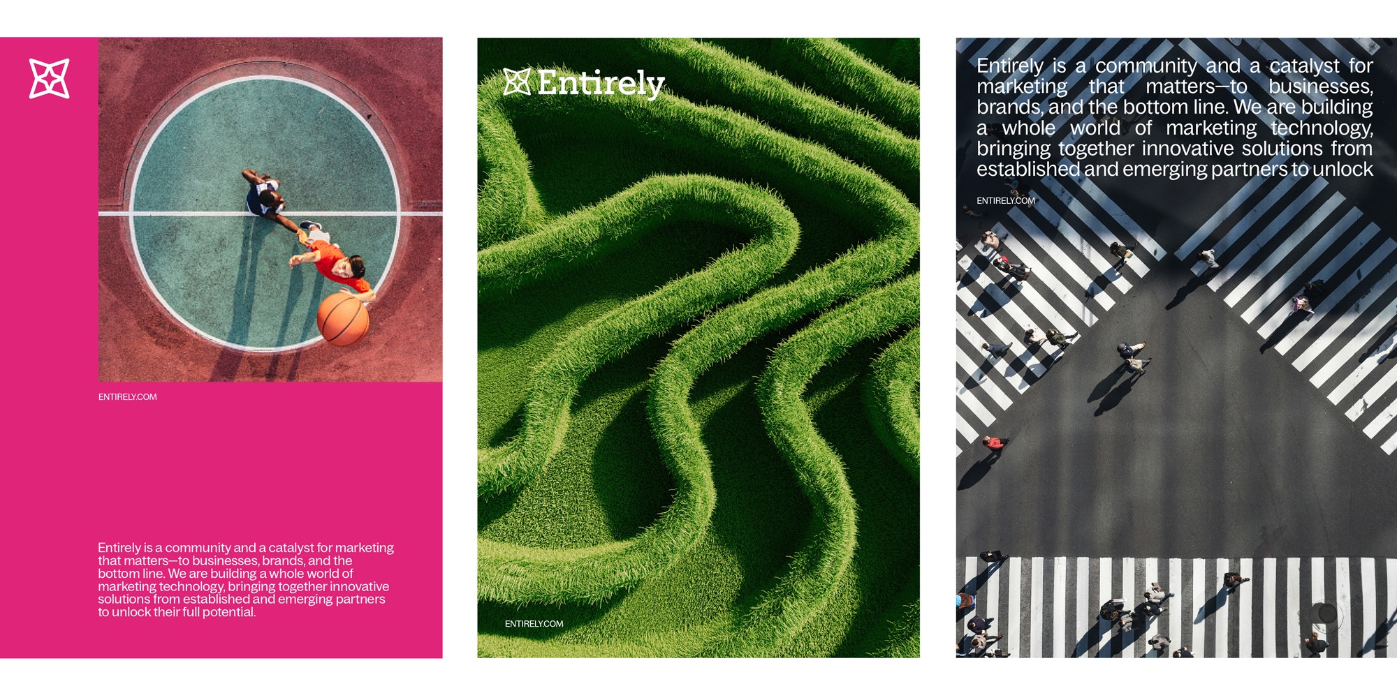 Entirely-Case-Study14