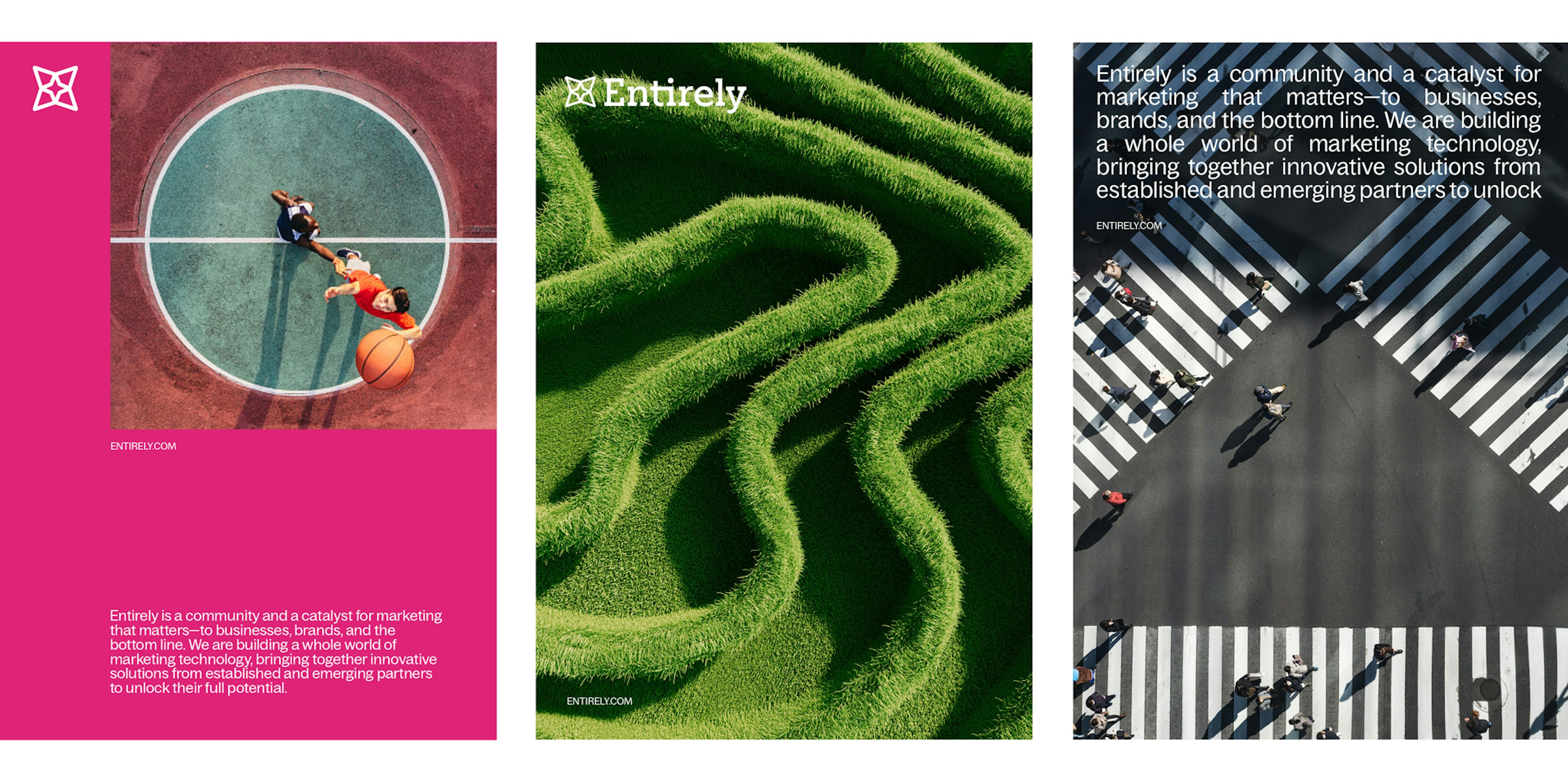 Entirely-Case-Study14