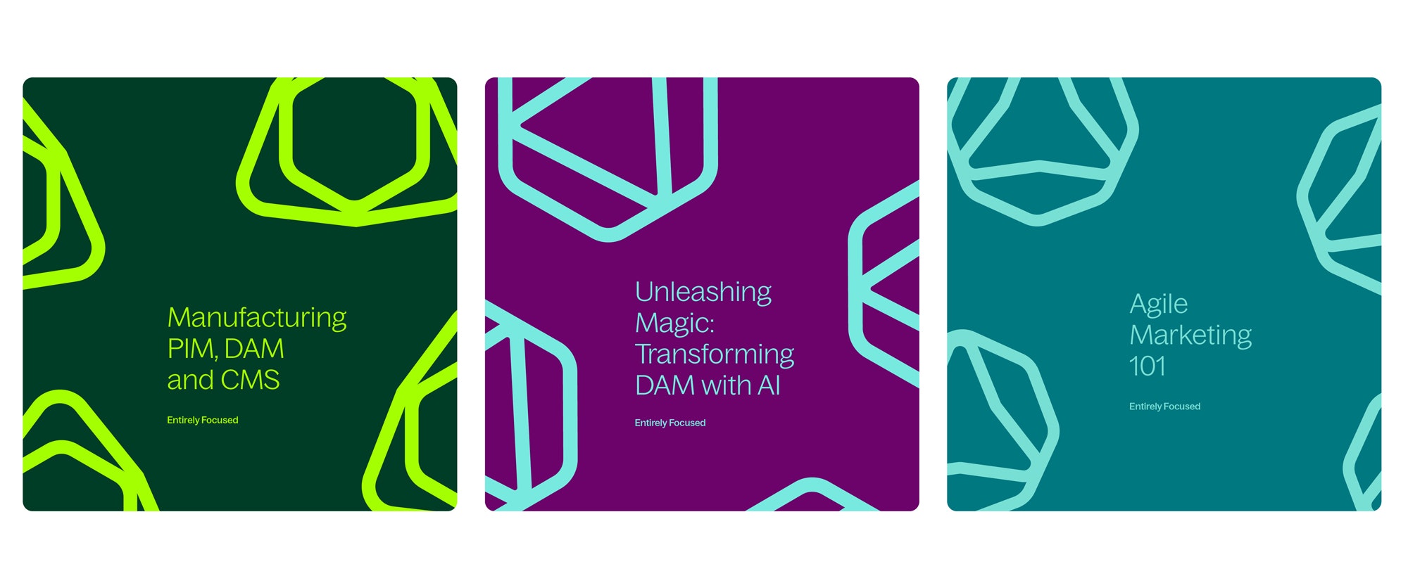 Entirely-Case-Study21