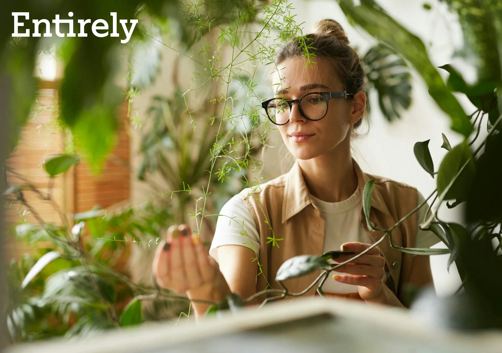 Entirely-Case-Study10