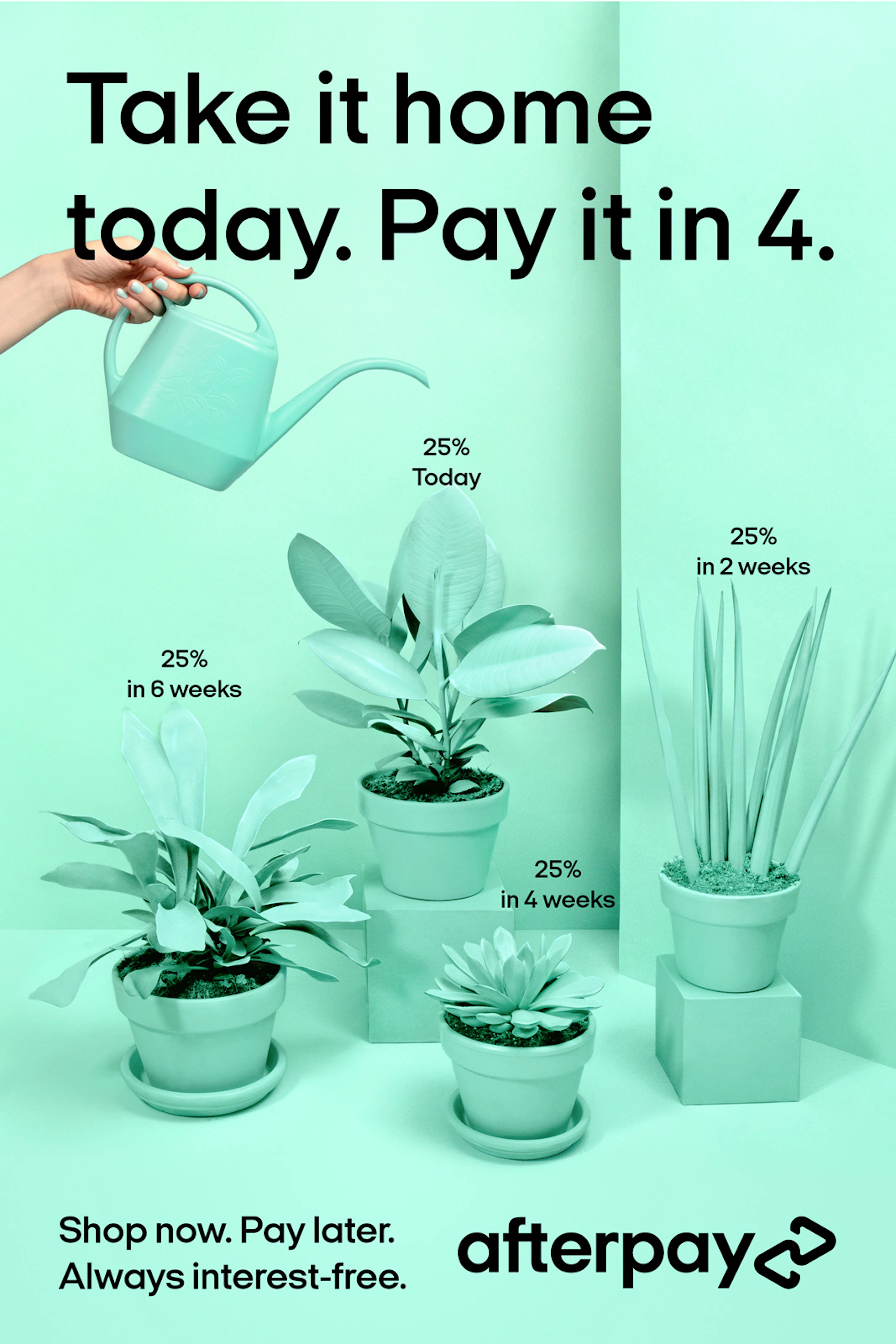 Image showing a hand watering four plants. Everything is Bondi mint colored and the text says TAKE IT HOME TODAY. PAY IT IN 4. 
