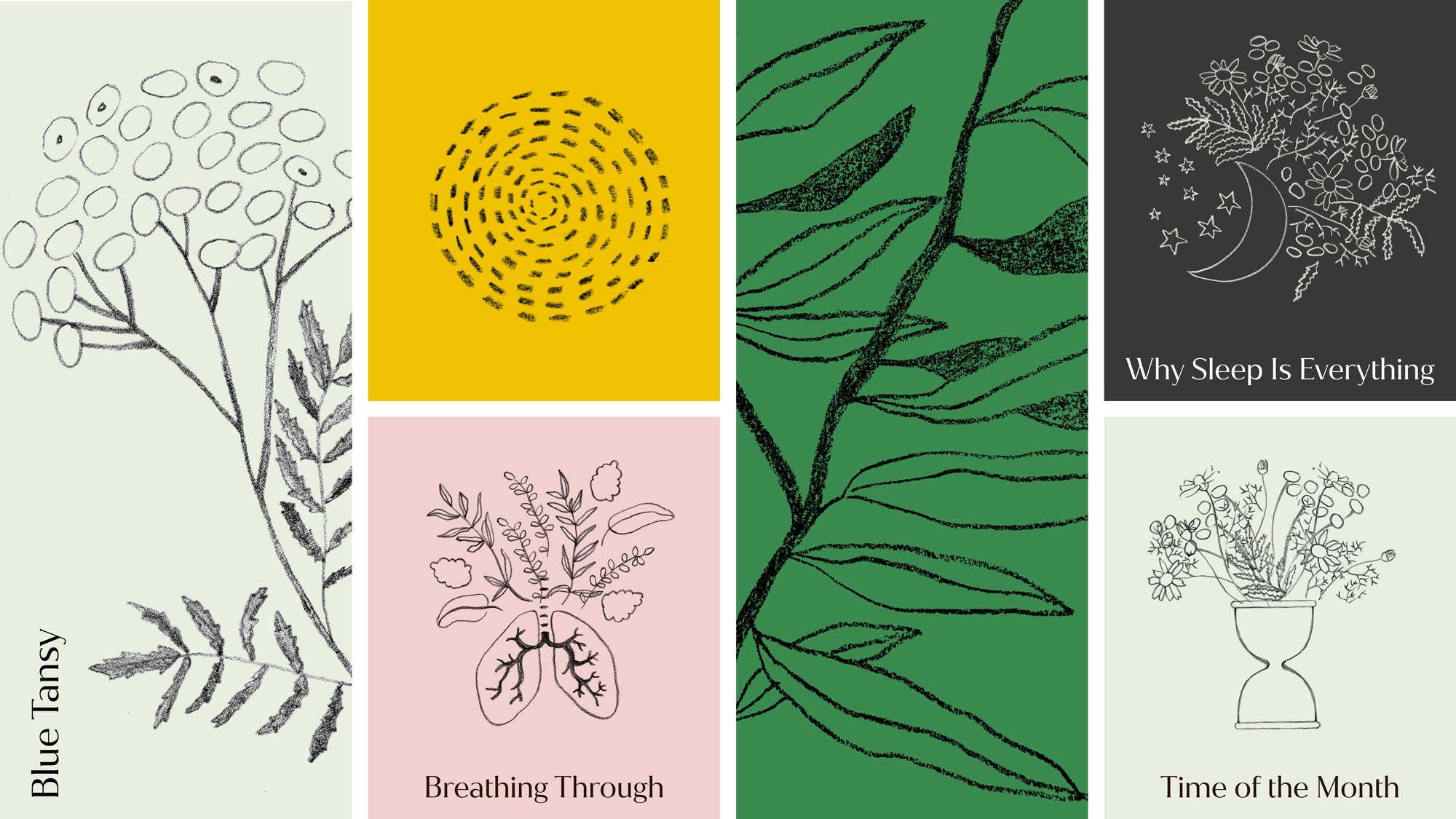 A collection of illustrations showing the plants that are part of the ingredients as well as the topics the brand covers (sleeping, menstruation, aches, etc).