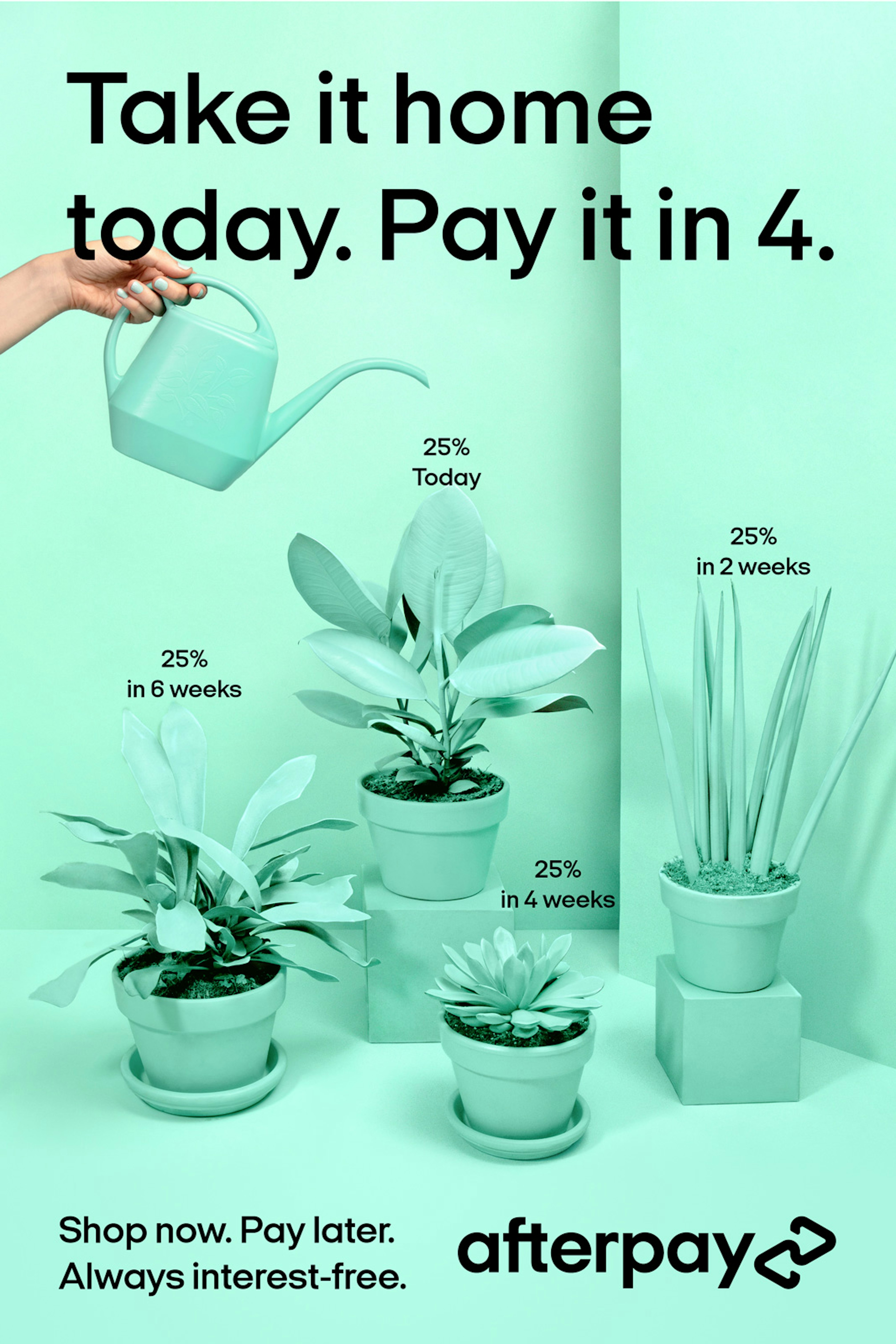 Image showing a hand watering four plants. Everything is Bondi mint colored and the text says TAKE IT HOME TODAY. PAY IT IN 4. 