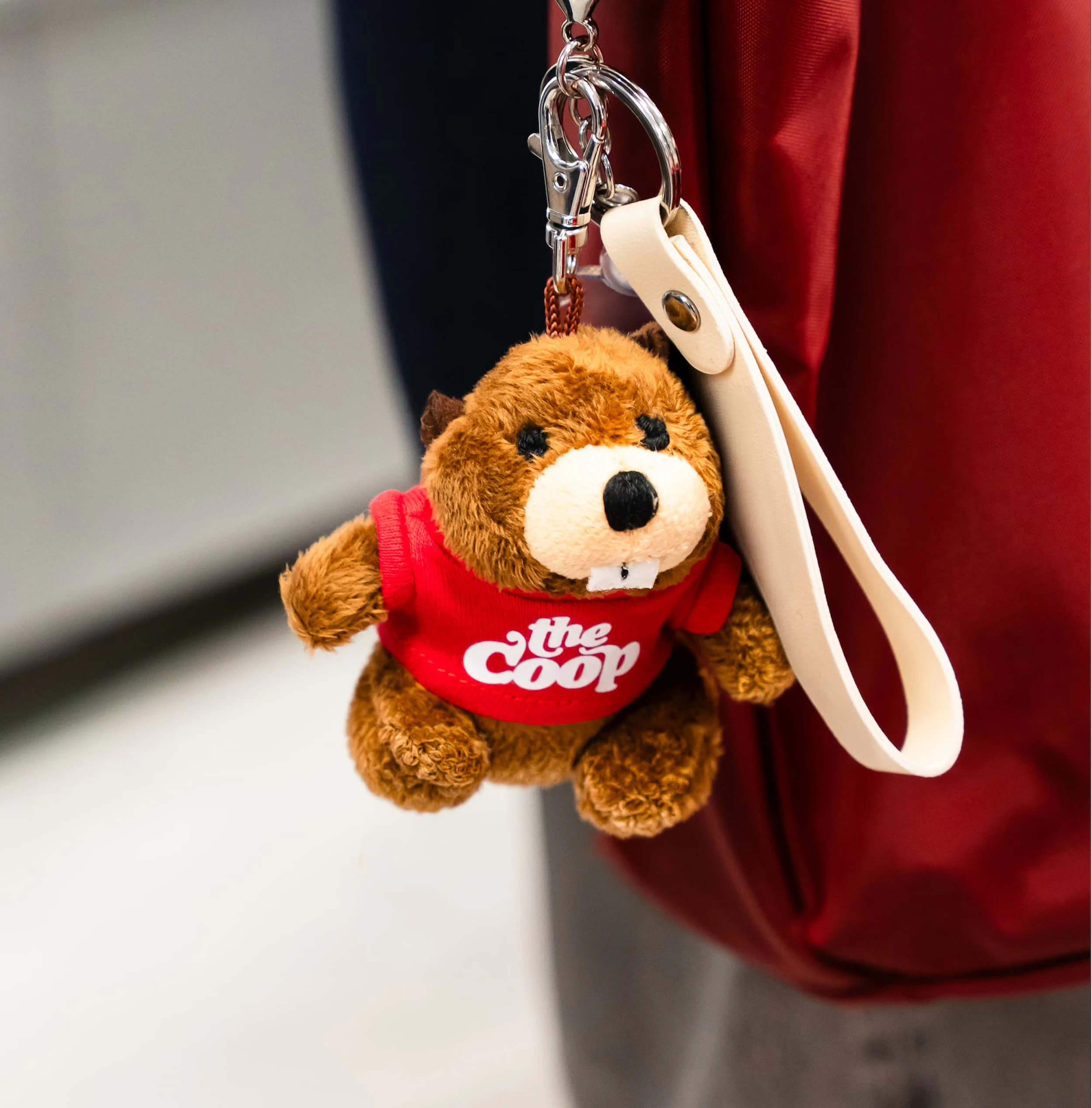 Harvard COOP brand identity visual system applications