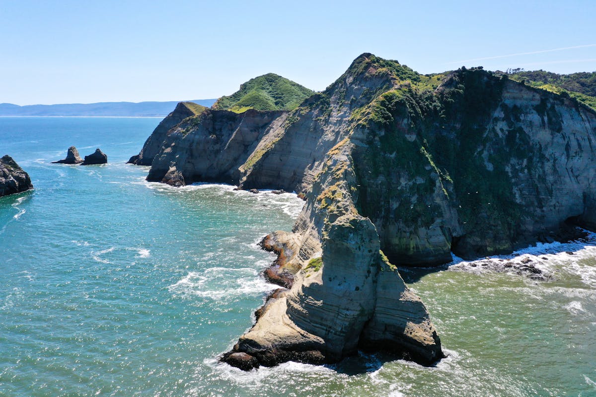 Paysage de l’île de Chiloé avec de la verdure sur la rôche