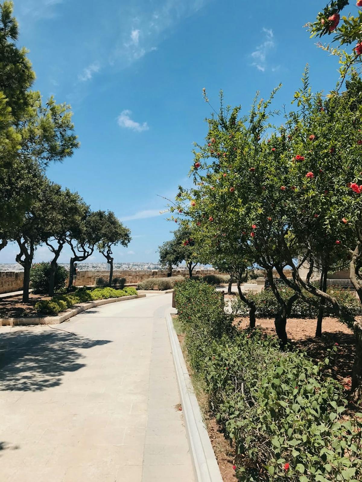 Upper Barcca Gardens