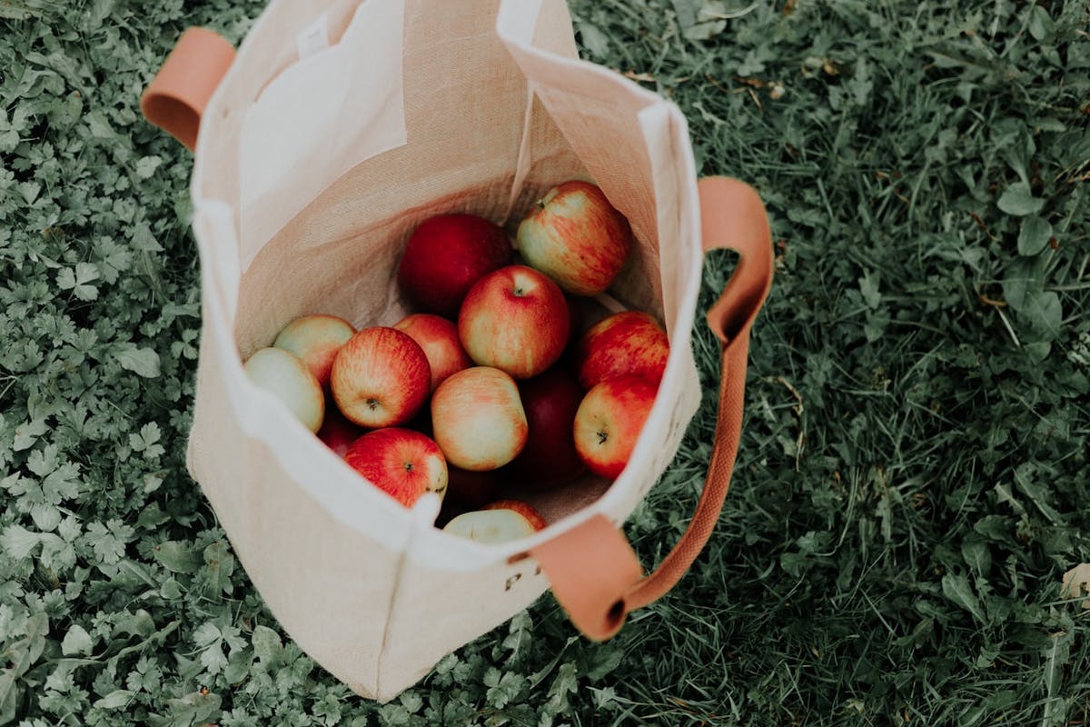 tote bag de pommes