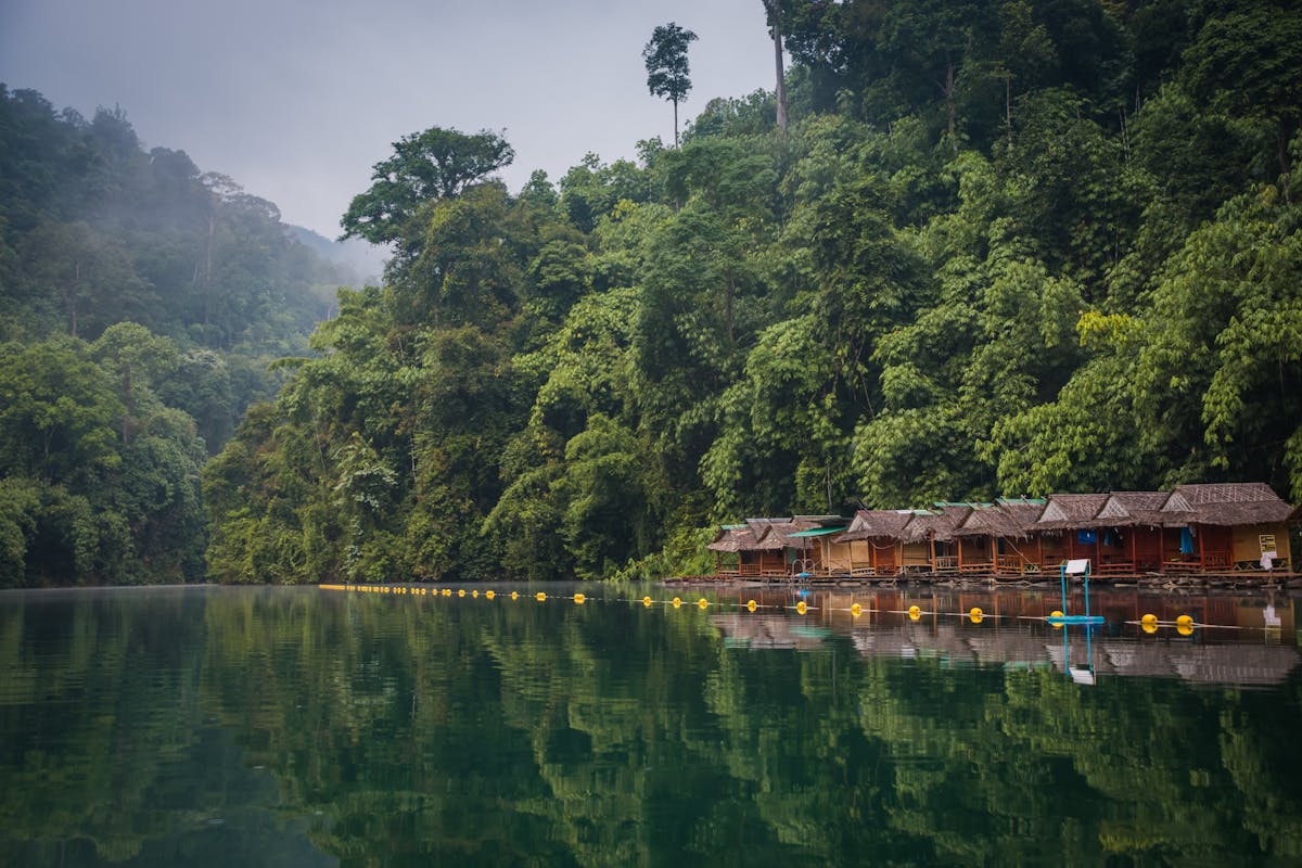 View from Khao Yai National Park and its dense forest - Photo by Marcin Kaliński on Unsplash